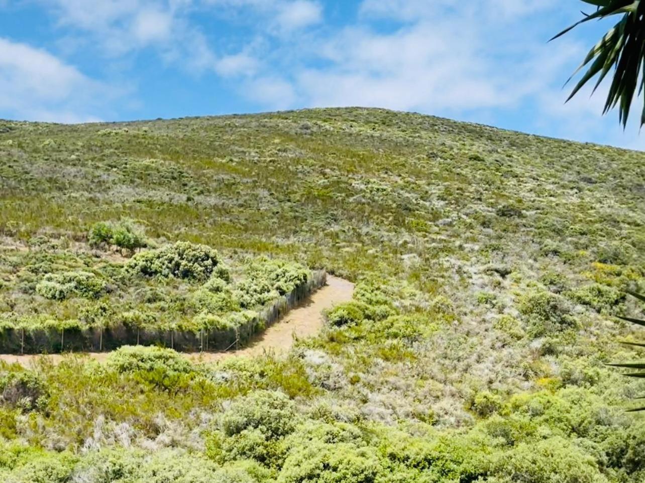 Vibes Plattekloof